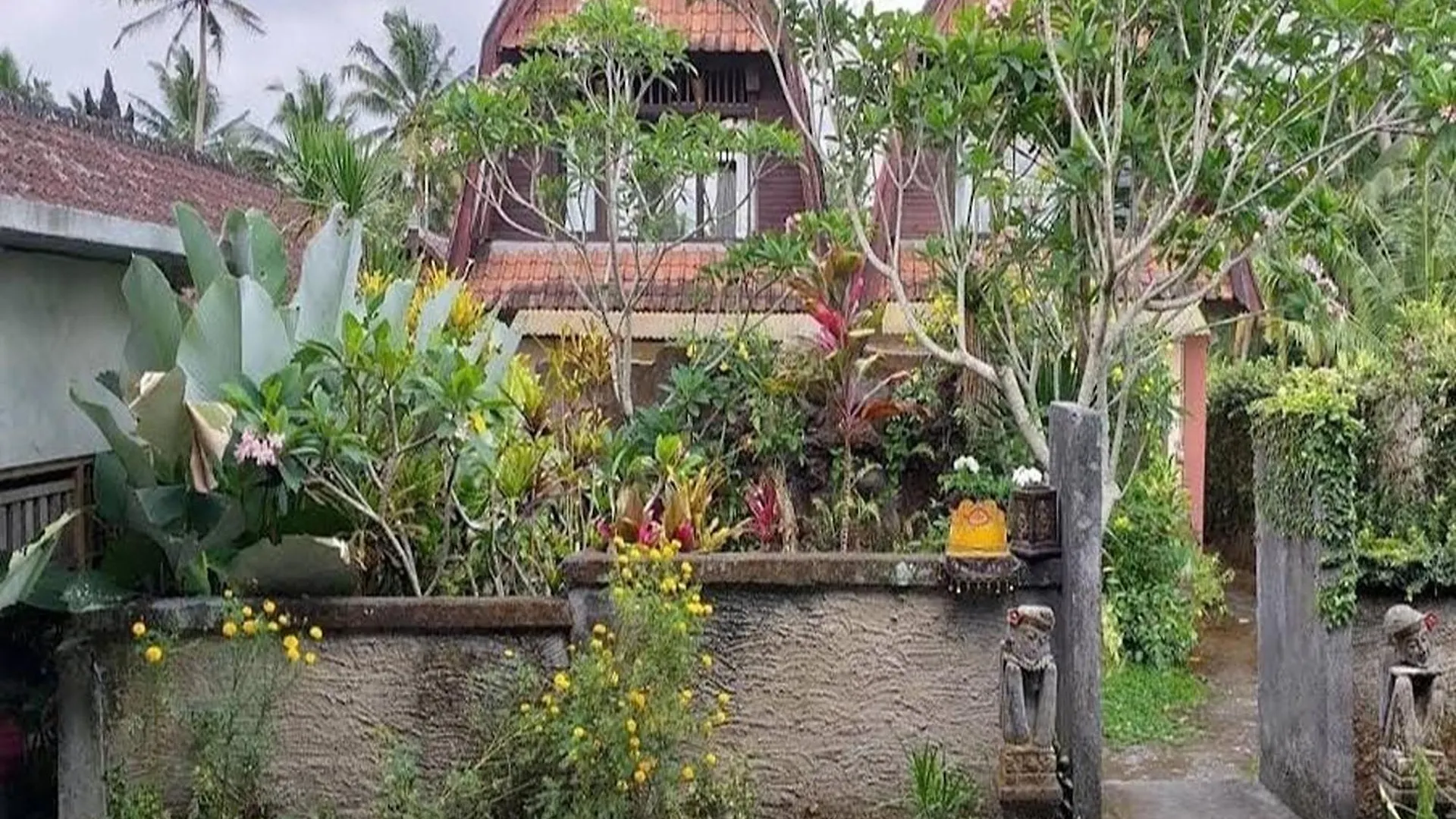 Budha House Ubud  0*, Ubud (Bali)