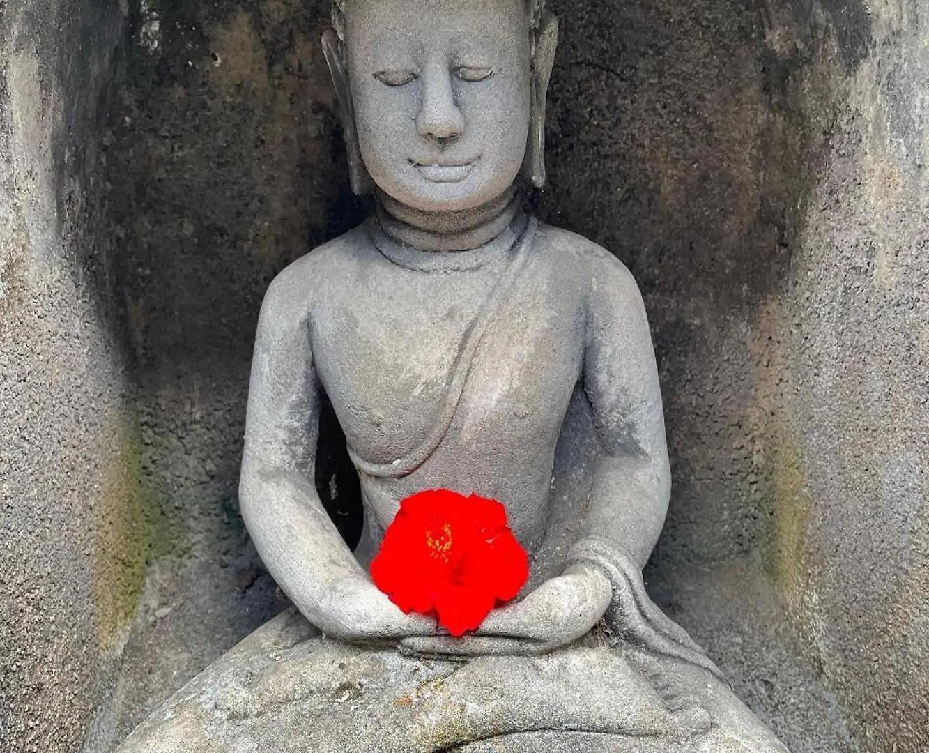 Budha House Ubud  Indonesia